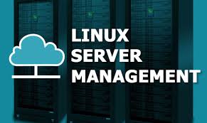 Set Up and Manage Server from Scratch